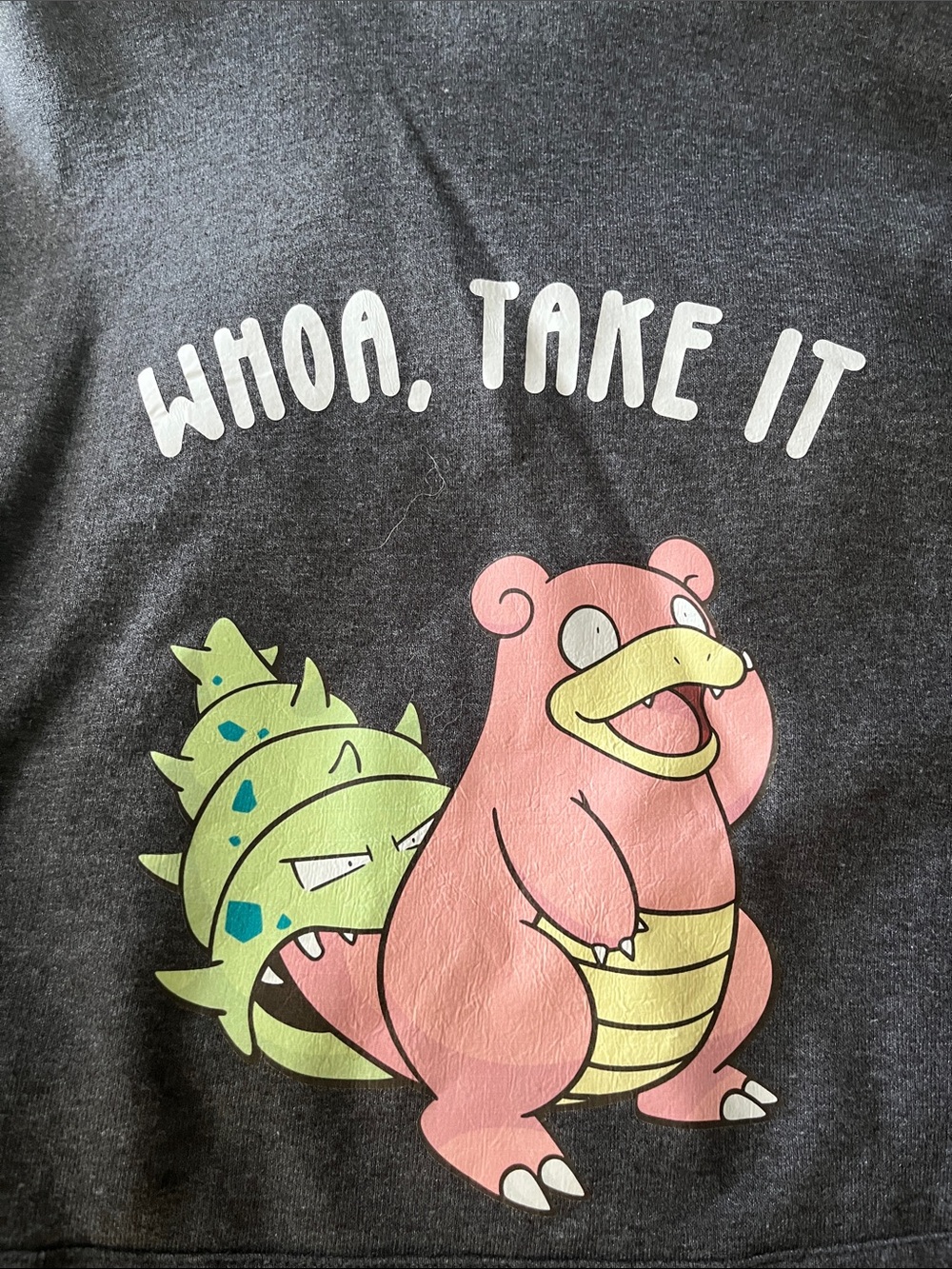 Cricut: “Take it, Slowbro” Hoodie 2XL